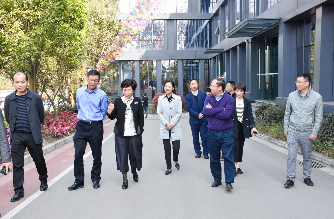 內(nèi)江市副市長陳朗調(diào)研船石湖運(yùn)動(dòng)特色小鎮(zhèn)(圖3)