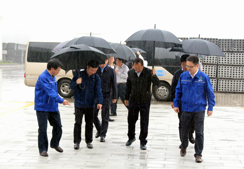 內(nèi)江市委書記馬波調(diào)研川威指出：堅決支持川威(圖1)