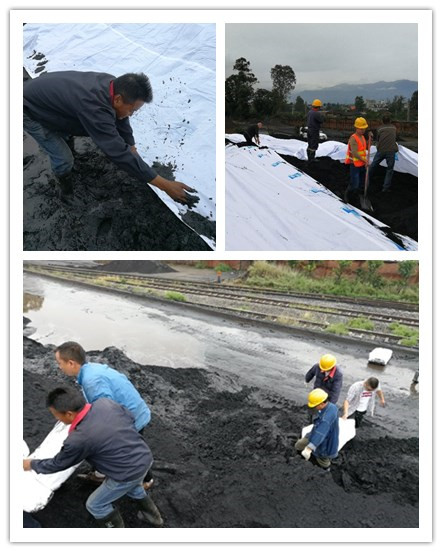 確保物資安全，通宇物流在行動(dòng)(圖1)