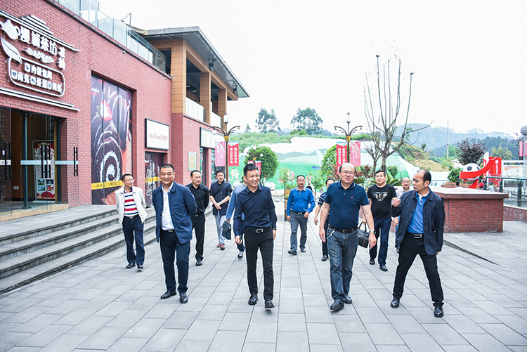 重慶能投集團(tuán)渝新公司到川威集團(tuán)連界區(qū)域參觀交流(圖5)