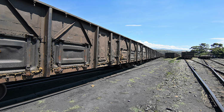 攀西（裝配建材）物流港單日車皮到達(dá)量創(chuàng)歷史新高(圖4)