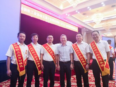 全國鋼鐵行業(yè)表彰先進(jìn)  釩鈦科技喜獲三項(xiàng)殊榮(圖6)