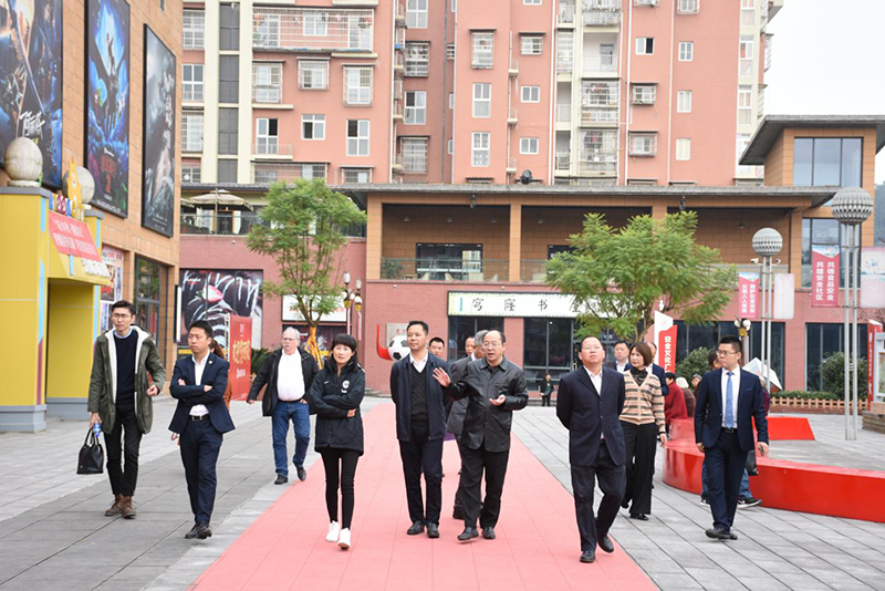 德國法蘭克福足球俱樂部蒞臨船石湖 運動特色小鎮(zhèn)考察交流(圖1)