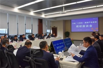 市政協(xié)主席康俊一行到川威召開“十四五”氫能產(chǎn)業(yè)發(fā)展調(diào)研座談會