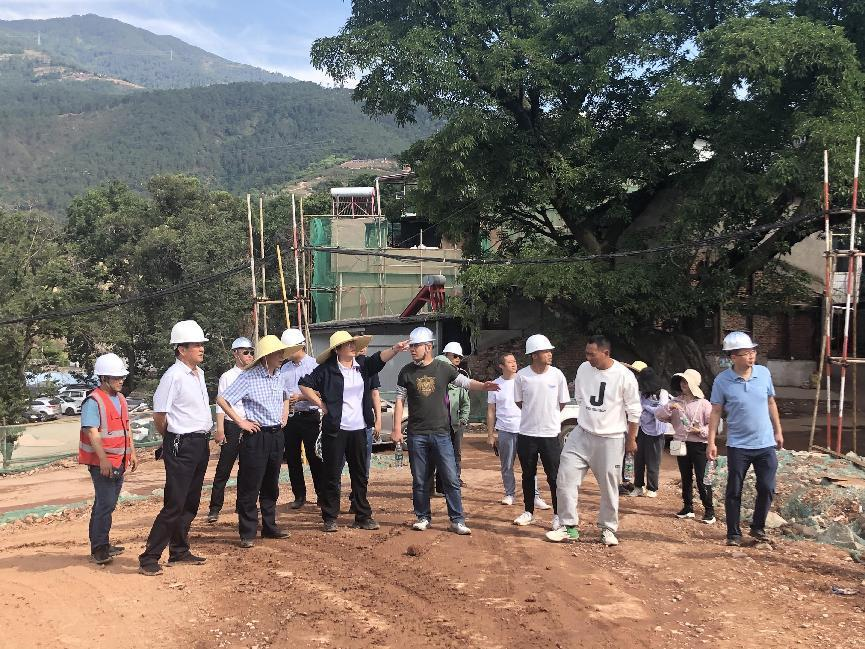 西昌市委副書記、市長宋莉蒞臨海南大石板鄉(xiāng)村振興二期項目視察工作(圖3)