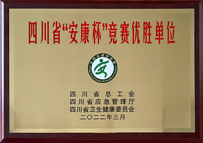 礦業(yè)總公司財通公司榮獲四川省“安康杯”競賽優(yōu)勝單位