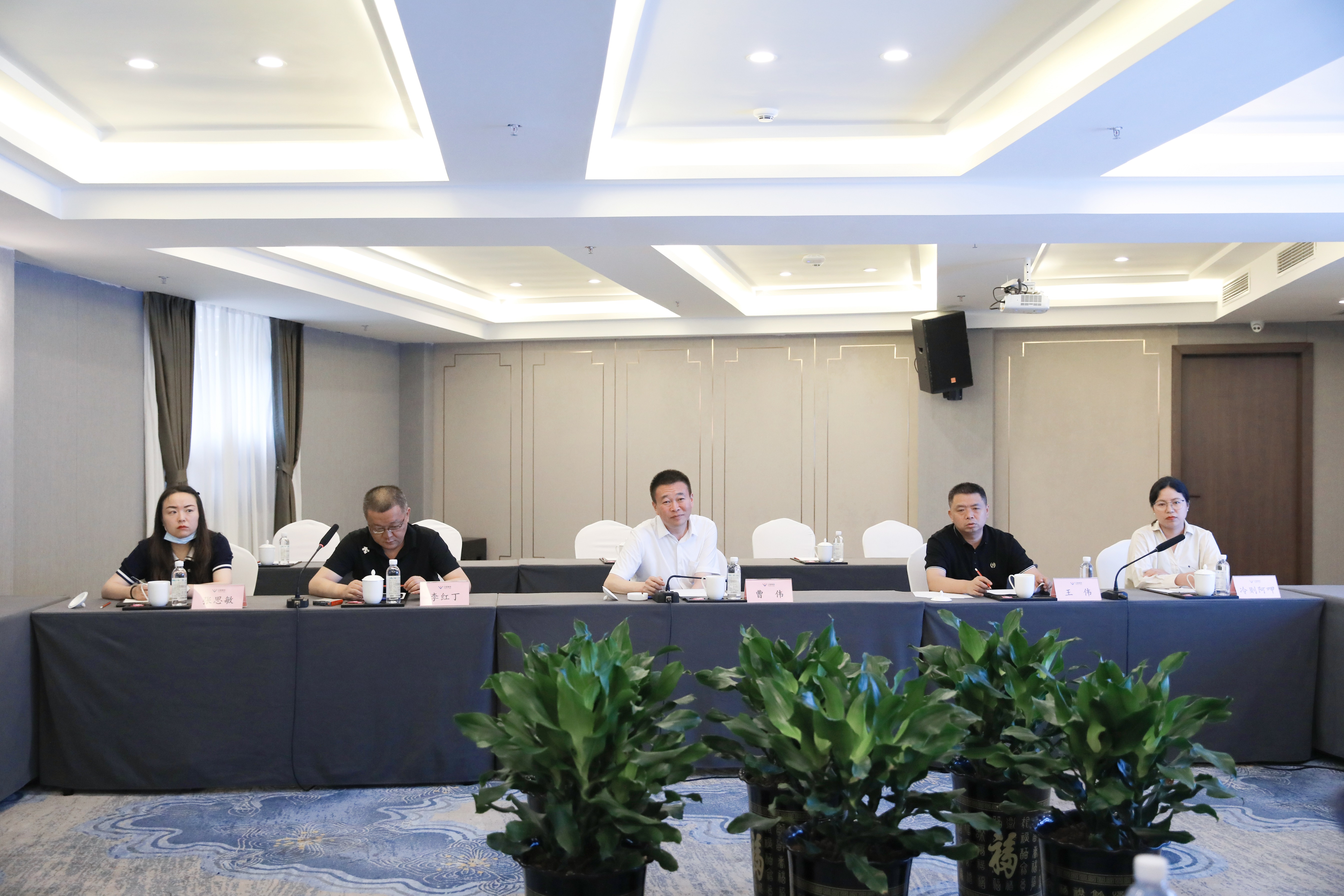 西昌市黨政代表團一行來訪川威連界基地考察調(diào)研(圖8)