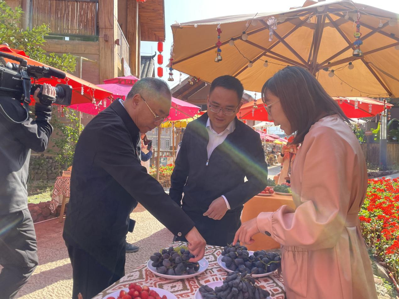 全省文化旅游融合示范項目工作總結(jié)交流會代表團考察學(xué)習(xí)大石板項目(圖8)