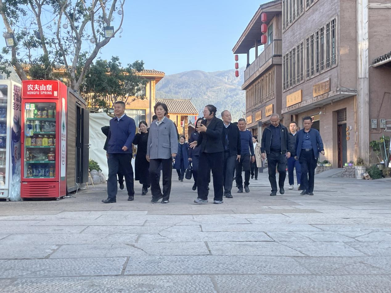 省政協(xié)主席田向利調(diào)研大石板鄉(xiāng)村振興項(xiàng)目(圖1)