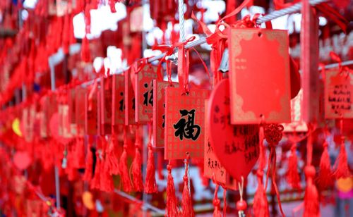 喜氣洋洋鬧新春 豐富活動(dòng)助你迎新年(圖4)