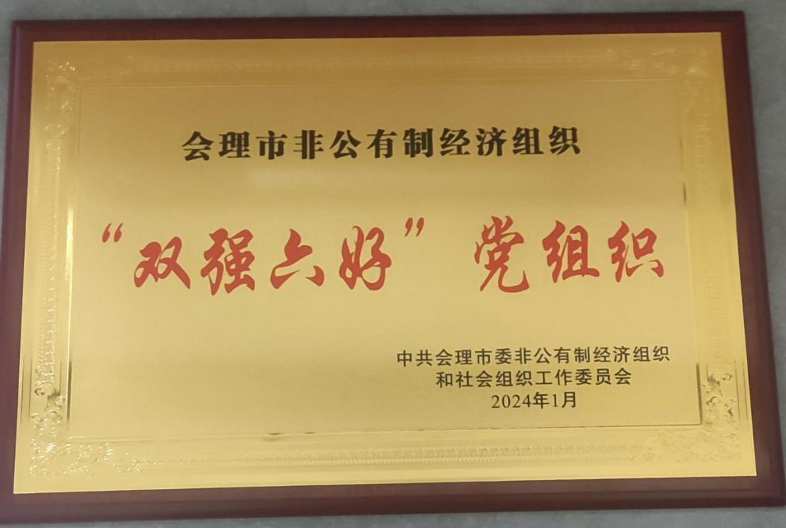 喜訊！礦業(yè)總公司財通公司黨支部榮獲會理市“雙強六好”黨組織稱號