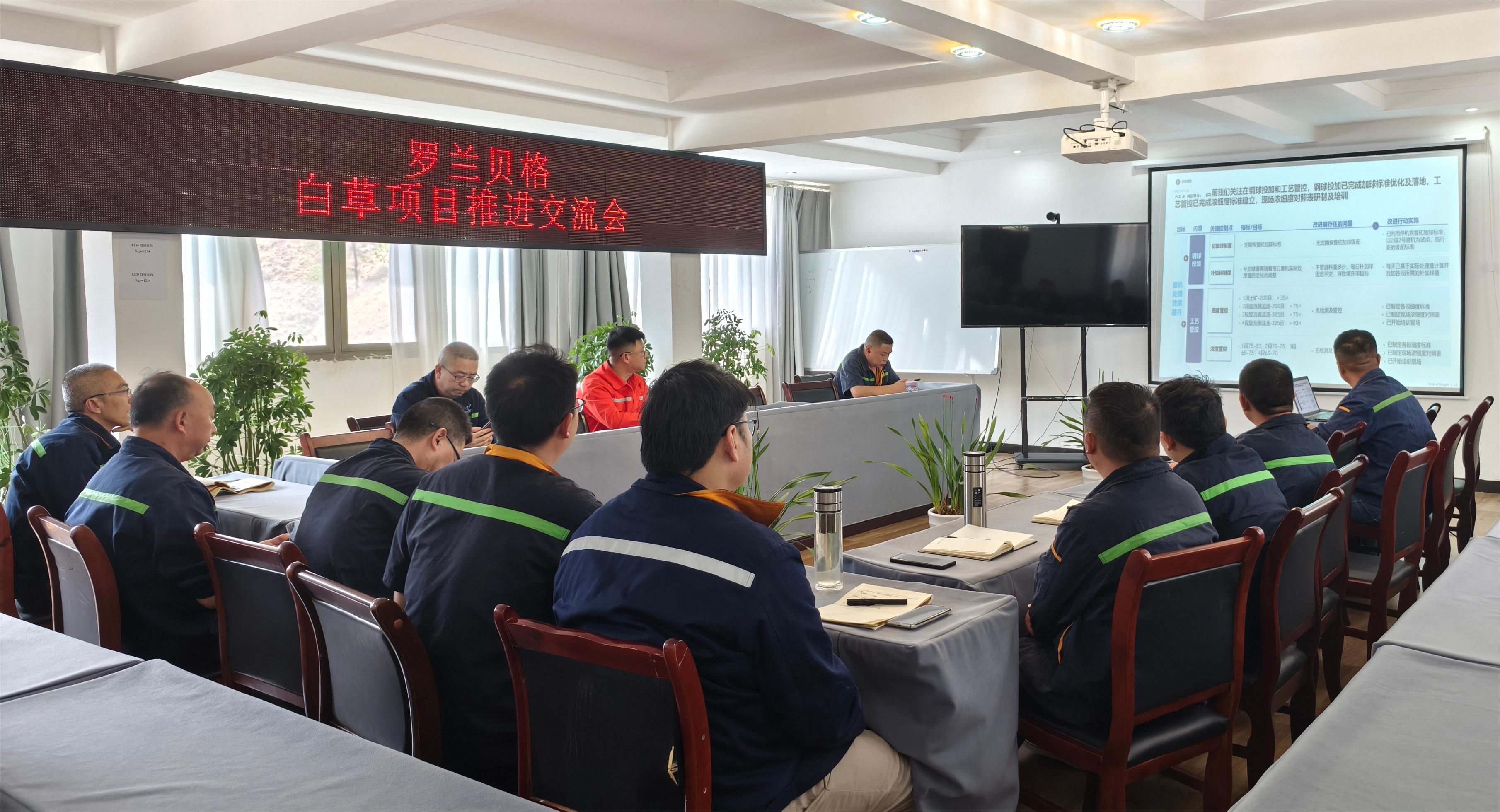 礦業(yè)總公司召開羅蘭貝格第九周項(xiàng)目階段匯報會(圖3)