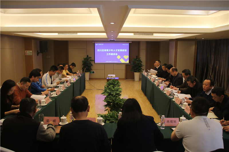 企業(yè)搭臺(tái) 專家唱戲 大咖齊聚 ——川威法蘭克福足校研討會(huì)召開(圖1)