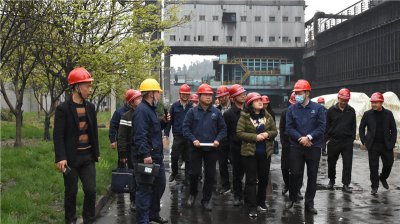 省統(tǒng)計(jì)局到川威集團(tuán)博威能源調(diào)研