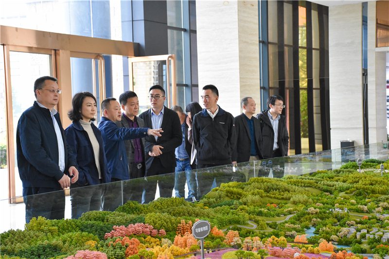 重慶輪船集團到川威連界基地調(diào)研(圖1)